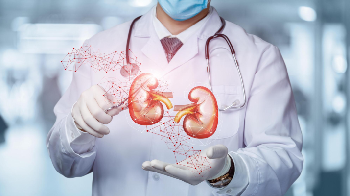 Kidney specialist | nephrologist | Kidney transplant | Padalkar Multispeciality Hospital