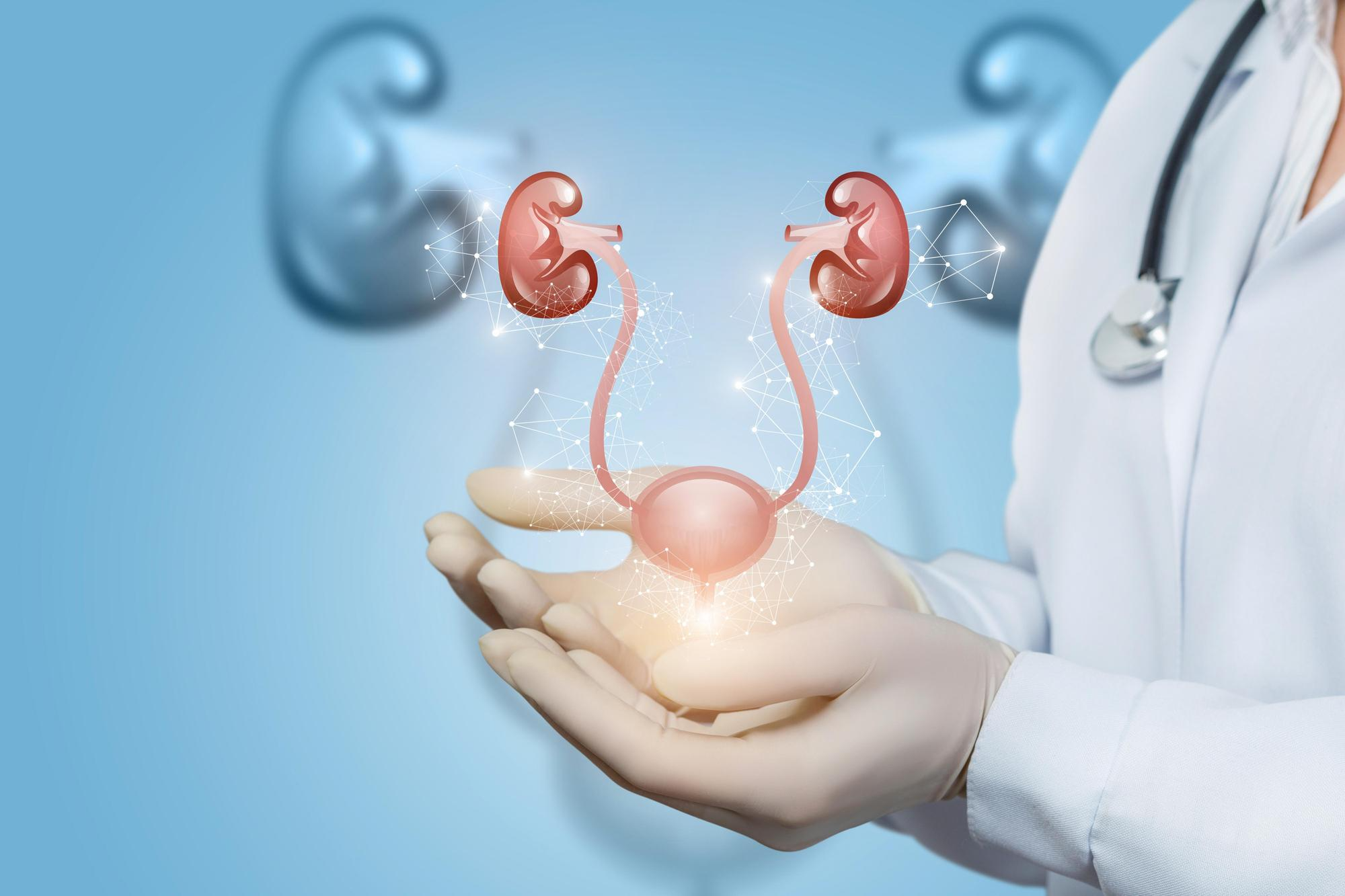 Urology Services at Padalkar Multispecialty Hospital